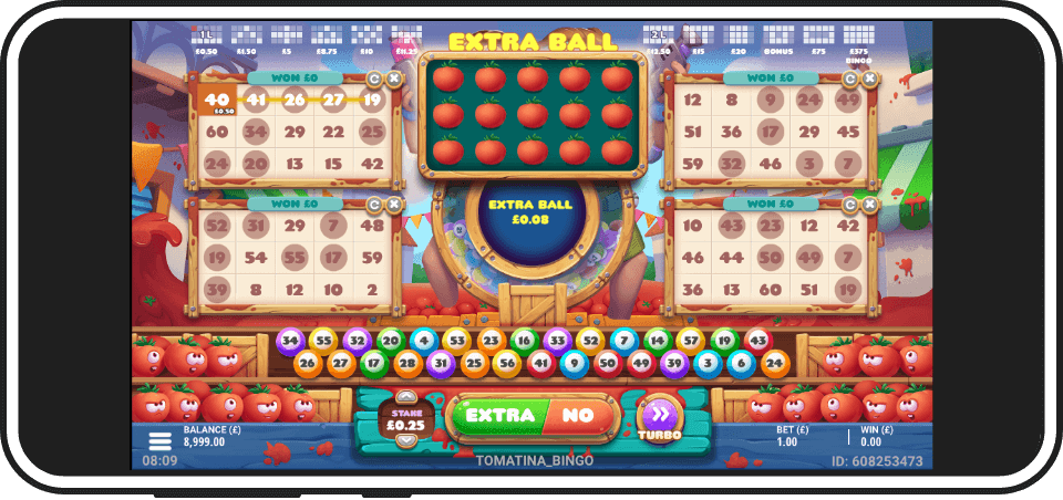 Play bingo games on mobile devices