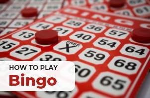 How to Play Bingo: Beginner´s Guide Screenshot